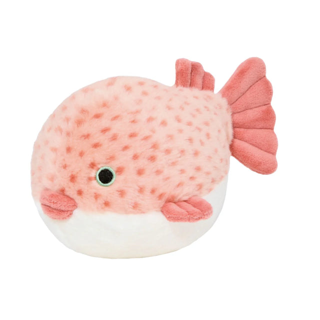 Dottie Puffer Fish