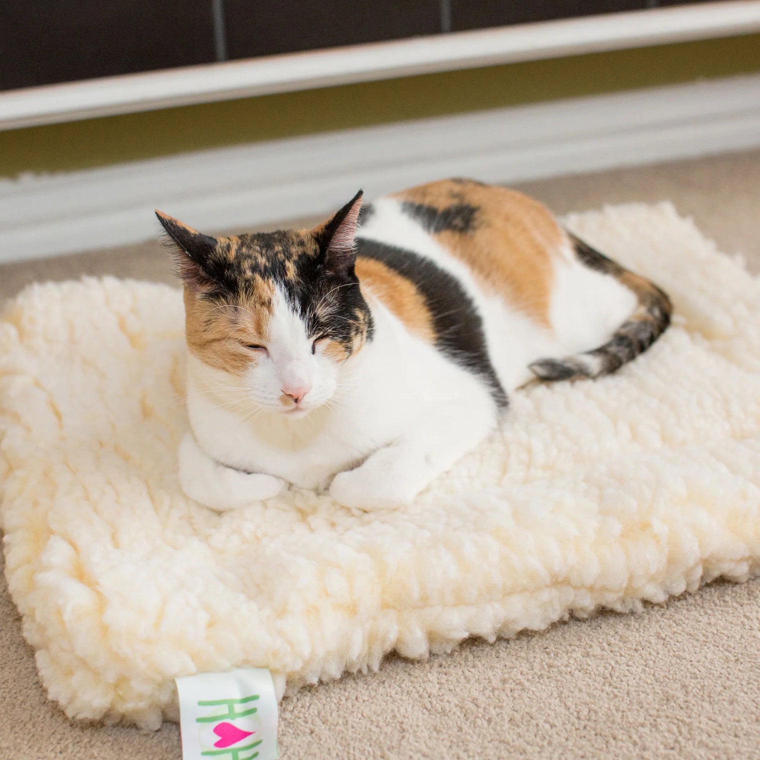 HuggleFleece Mat Cat & Dog Bed - Natural
