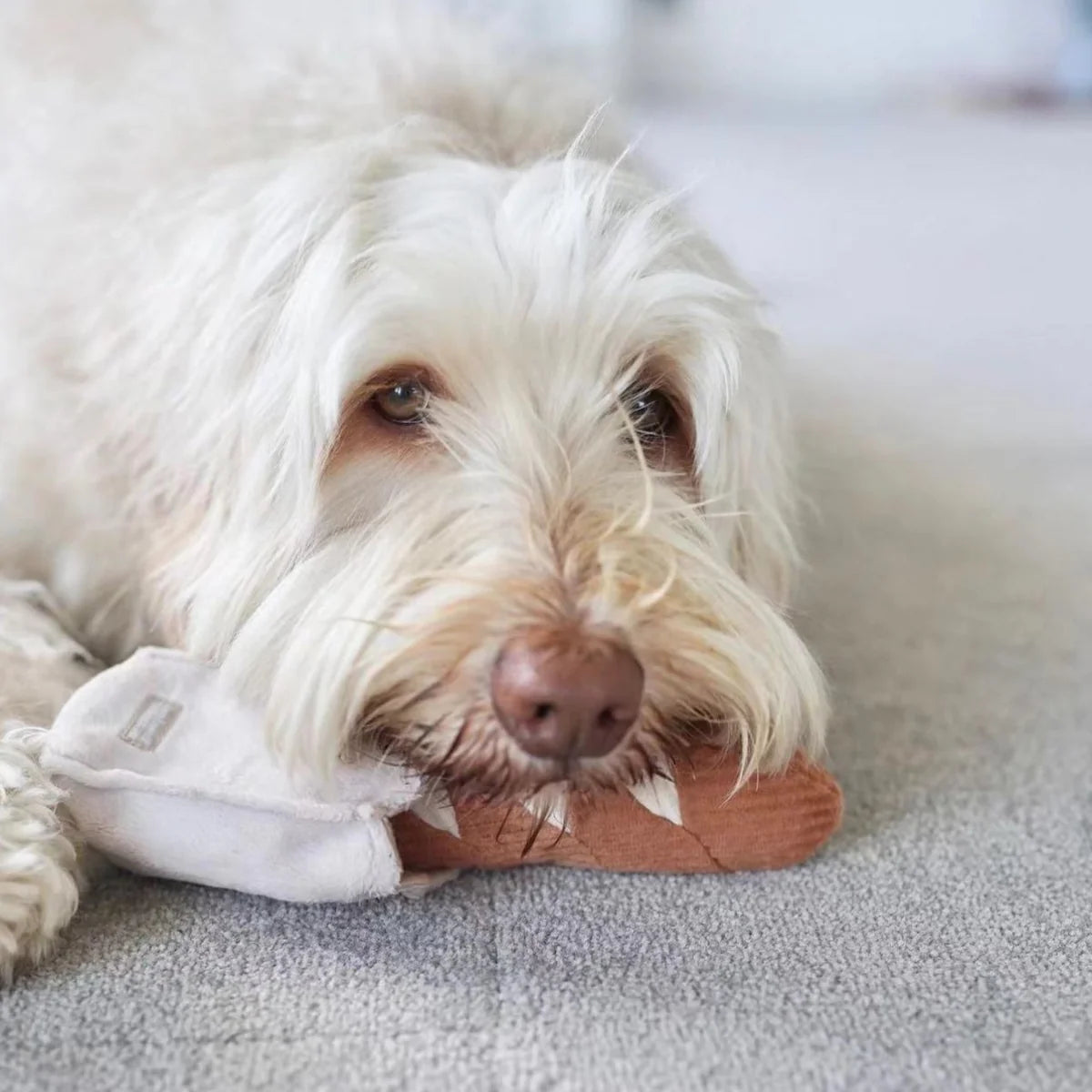 Mini Baguette Snuffle Toy