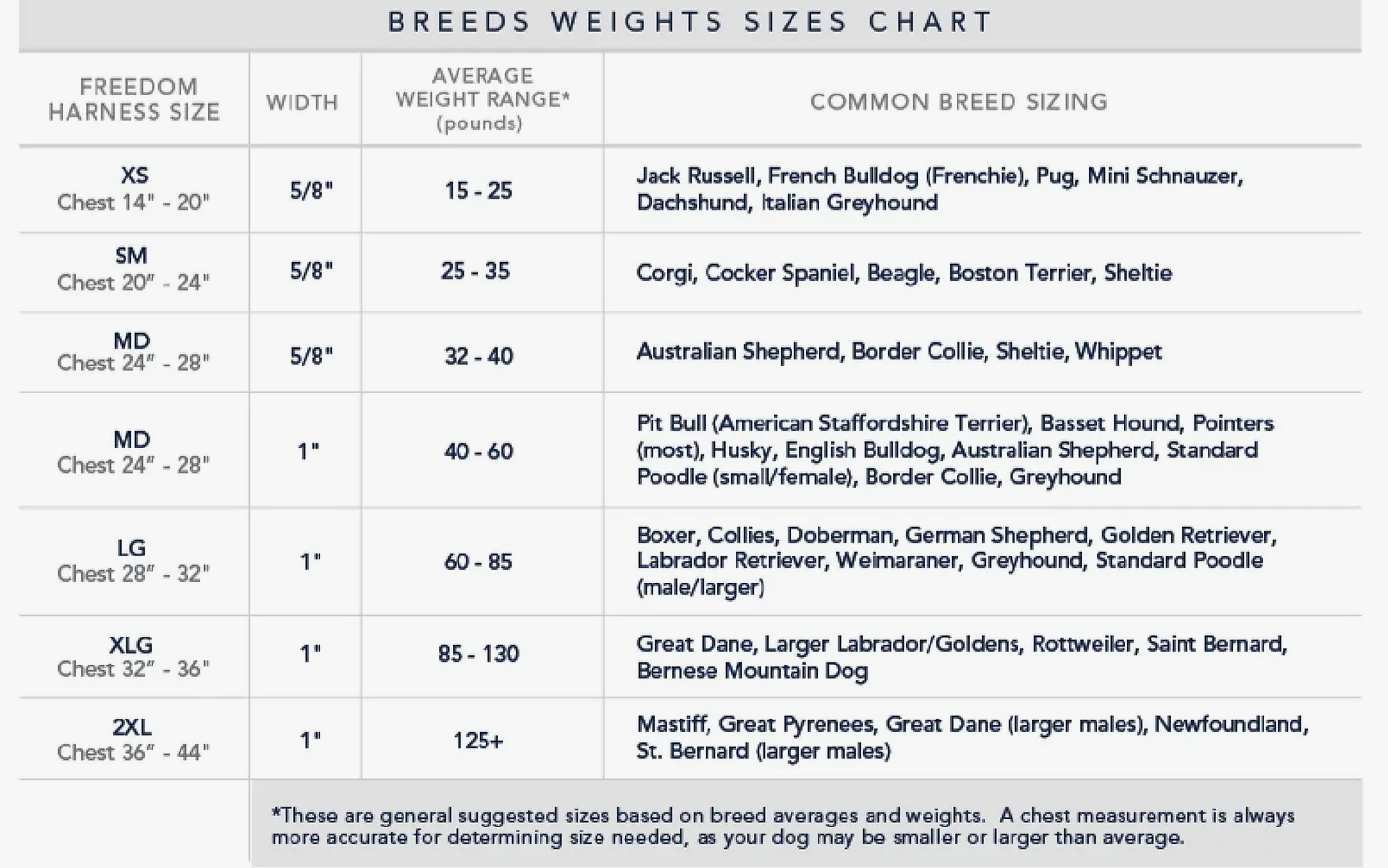 Kelly Green Freedom Harness & Leash