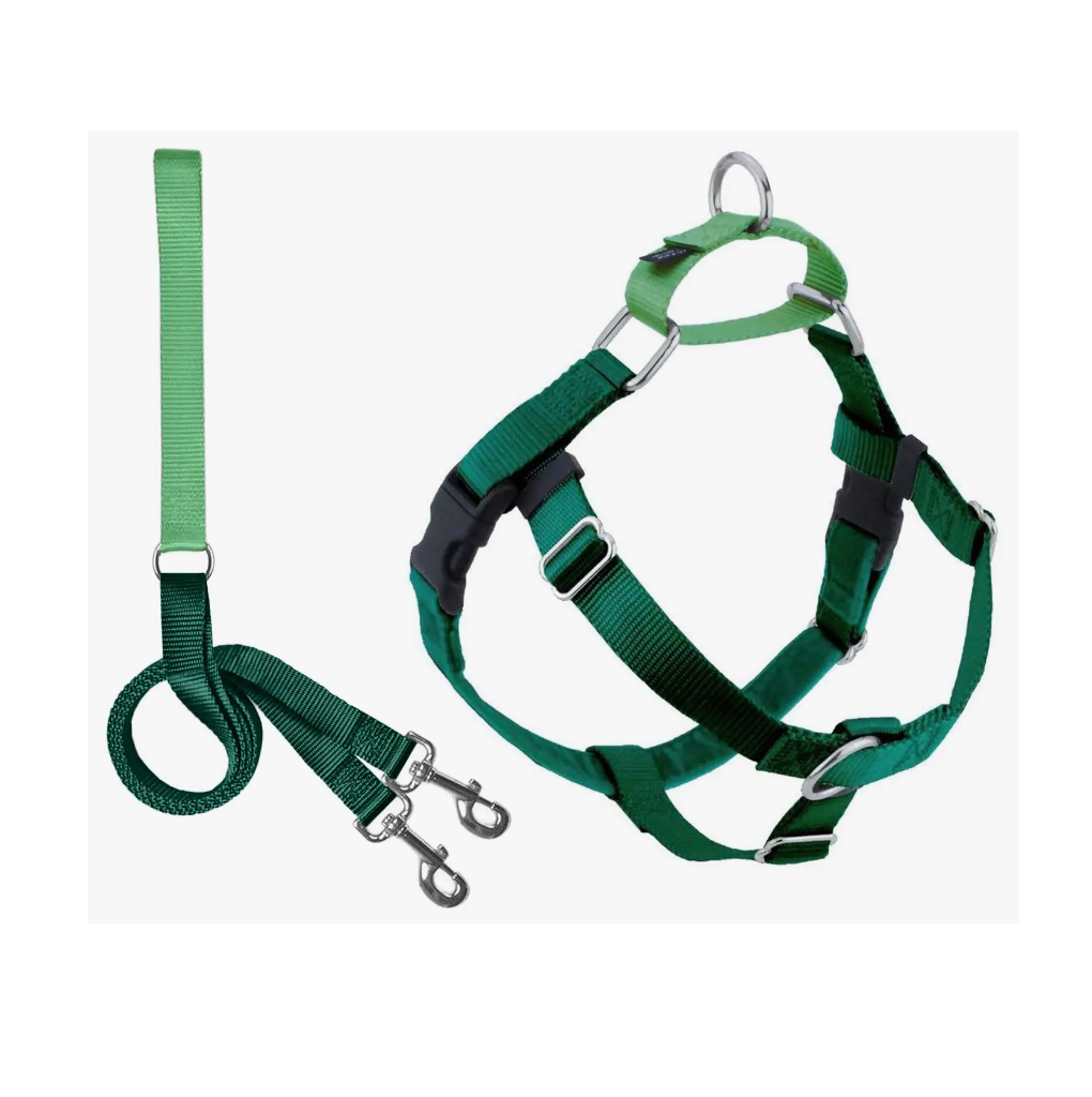 Kelly Green Freedom Harness & Leash