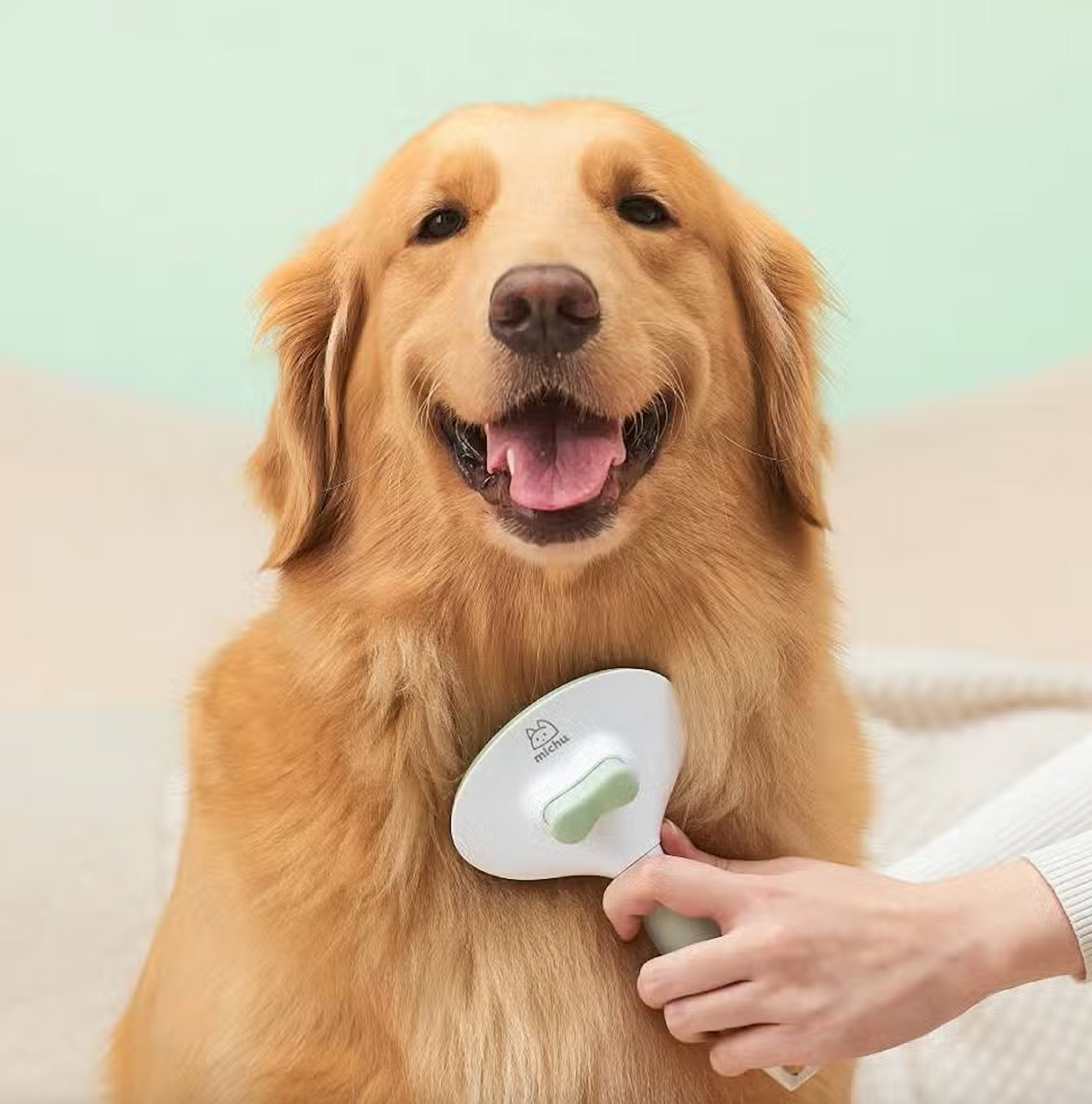 Round Head Grooming Brush