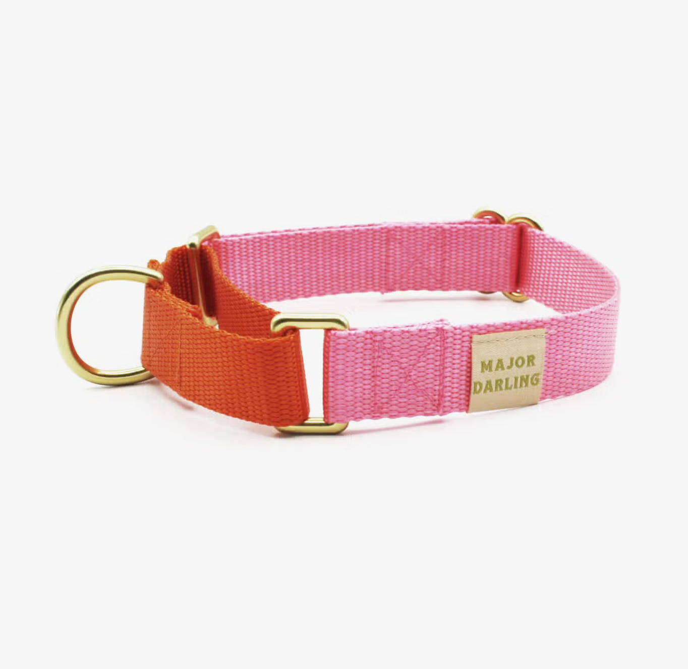 Pink with Orange Martingale Collar