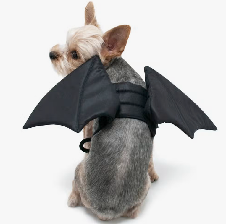 Bat Wings Costume