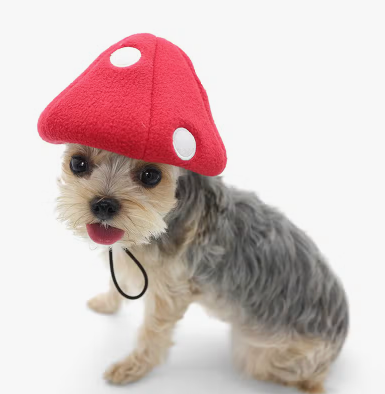 Mushroom Hat