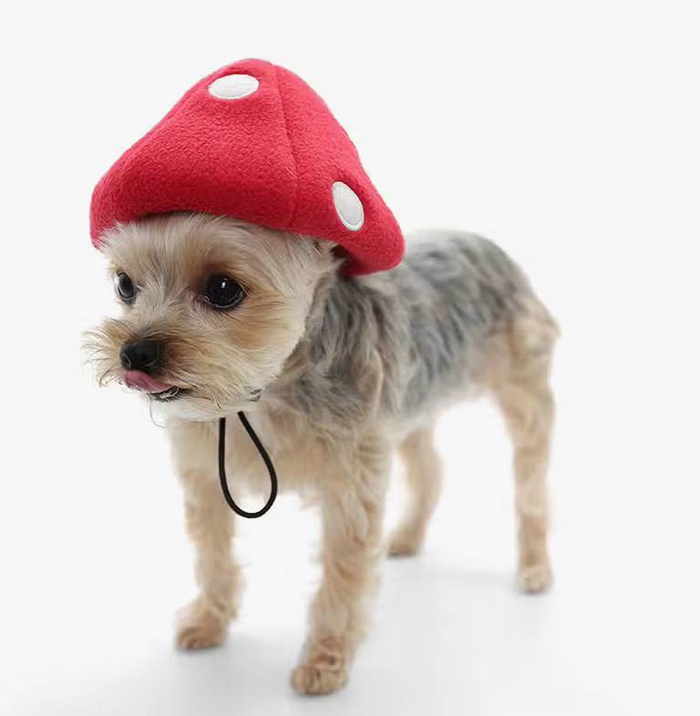Mushroom Hat