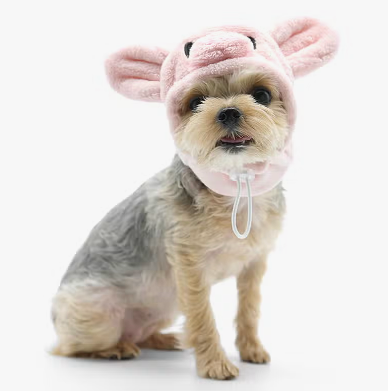 Piggy Hat