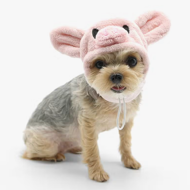 Piggy Hat