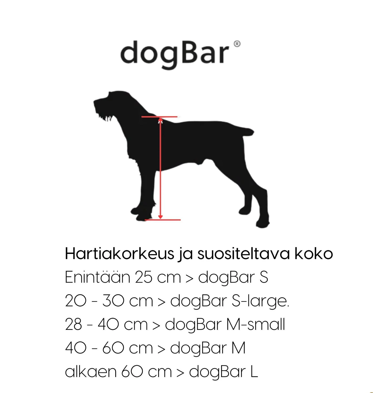 Classic Raised Dog Feeder - Grey