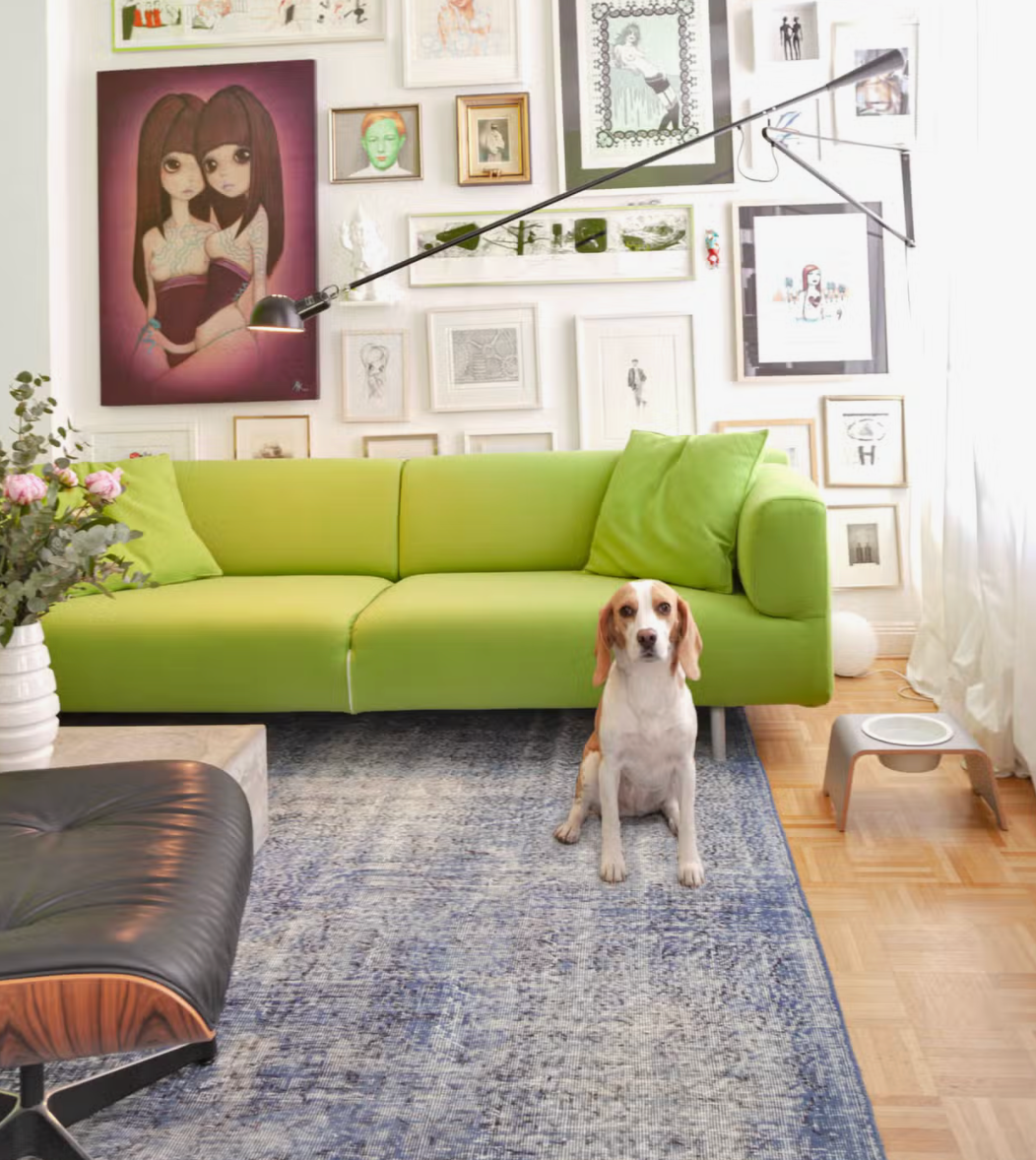 Single Raised Dog Feeder - Grey