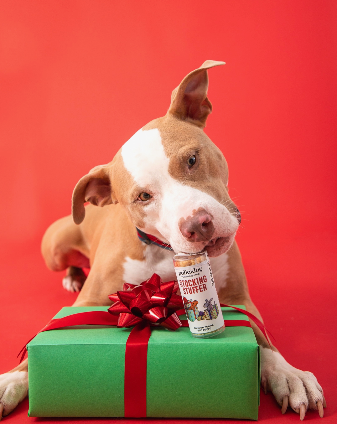 Stocking Stuffer Holiday Treats