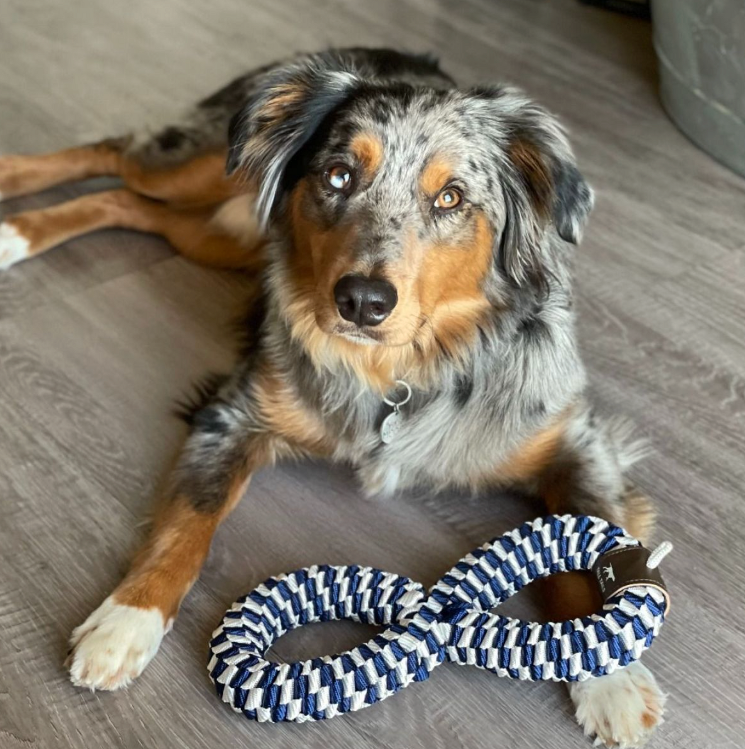 Navy Braided Figure 8 Tug Toy