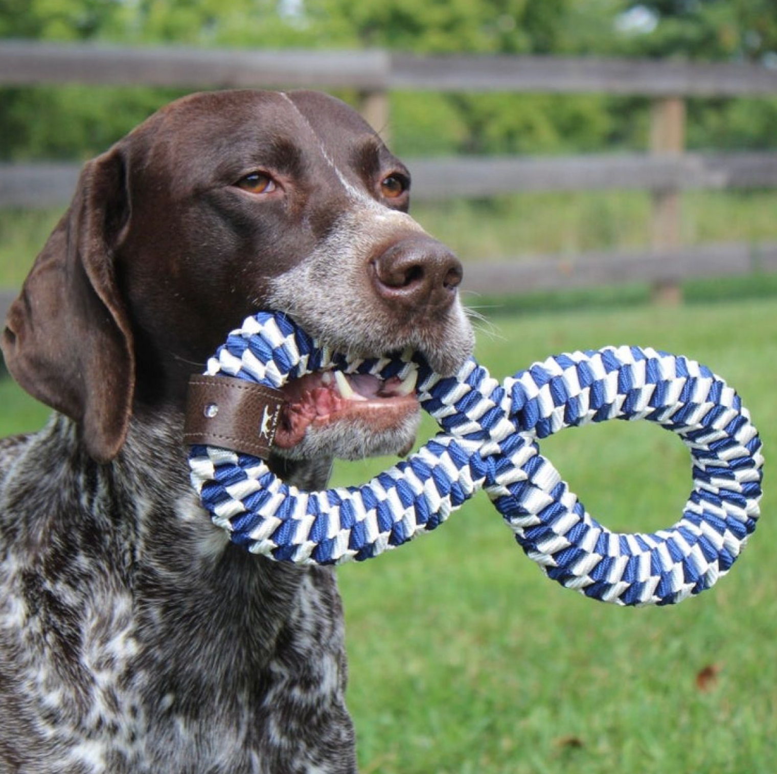 Navy Braided Figure 8 Tug Toy