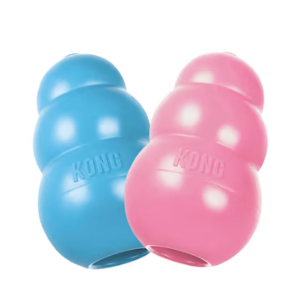 Kong Puppy, Small