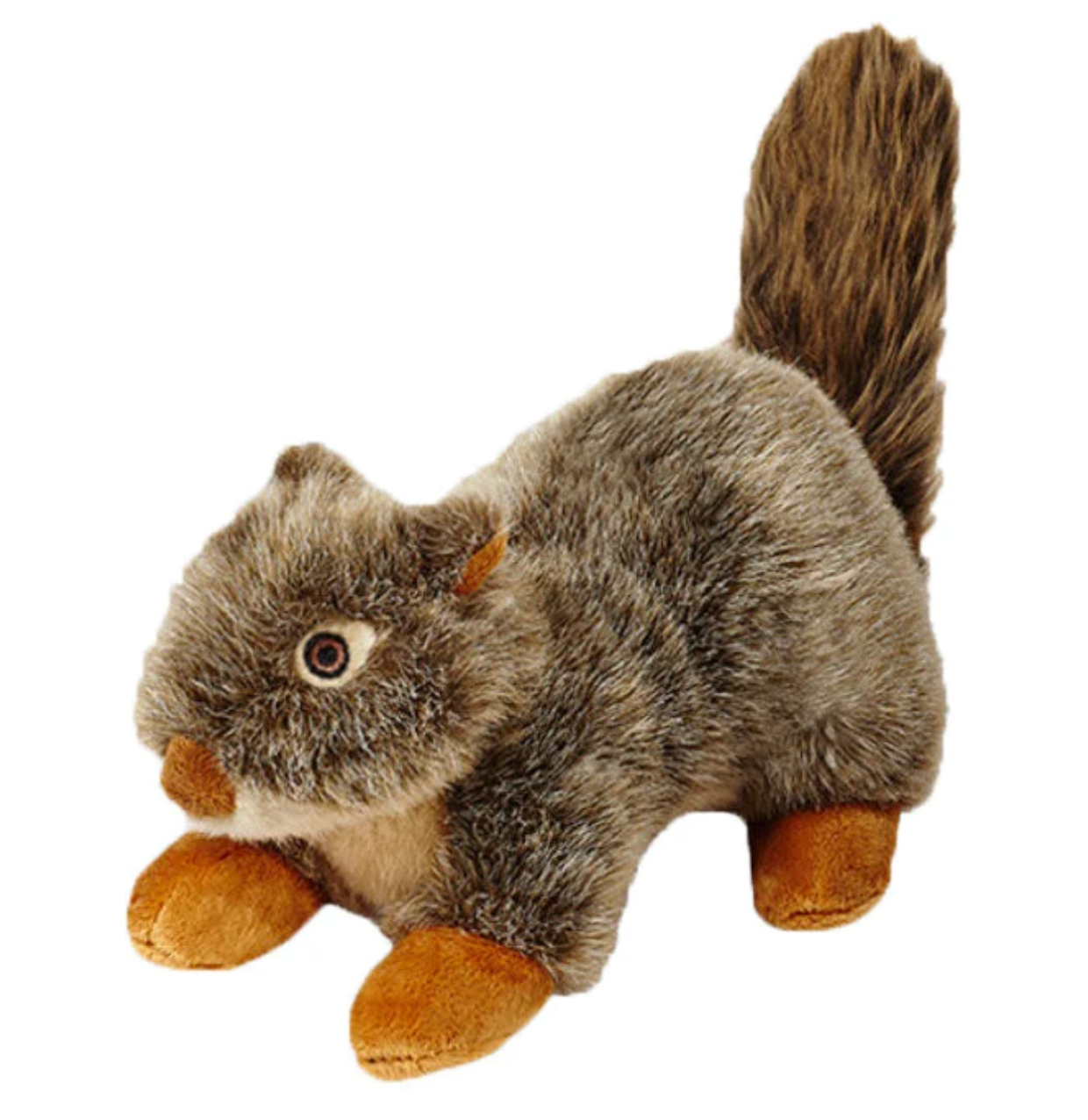 Nuts Squirrel