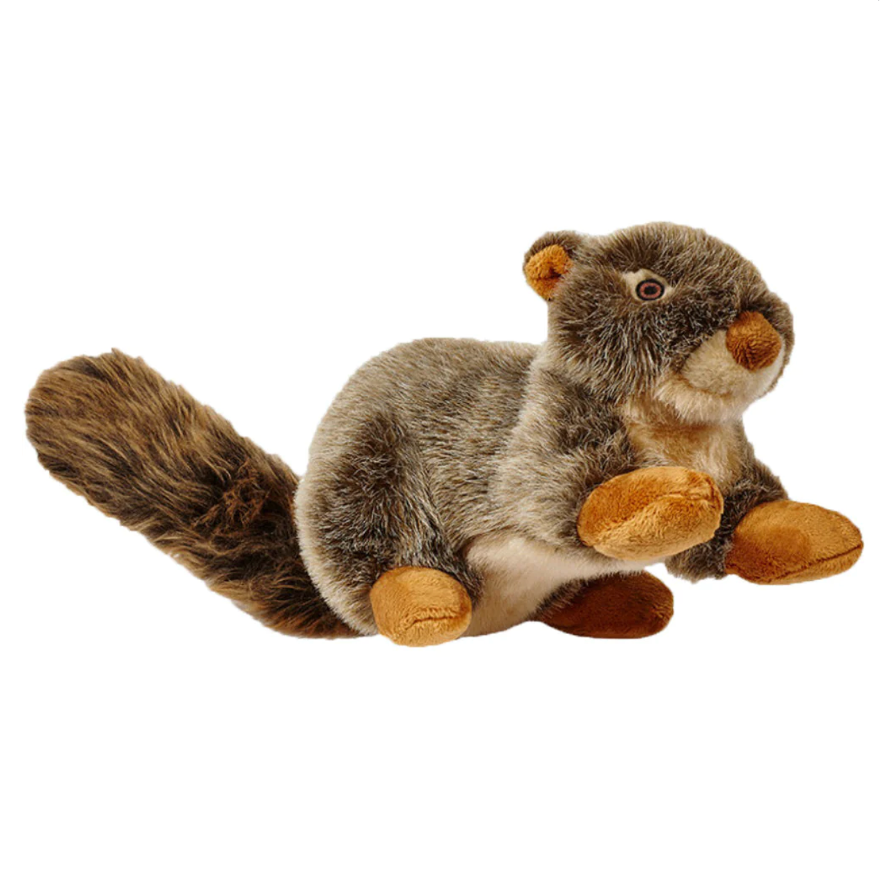 Nuts Squirrel