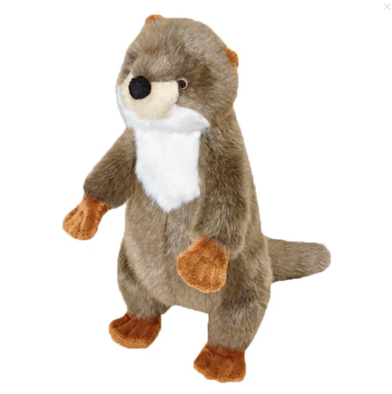 Harry Otter