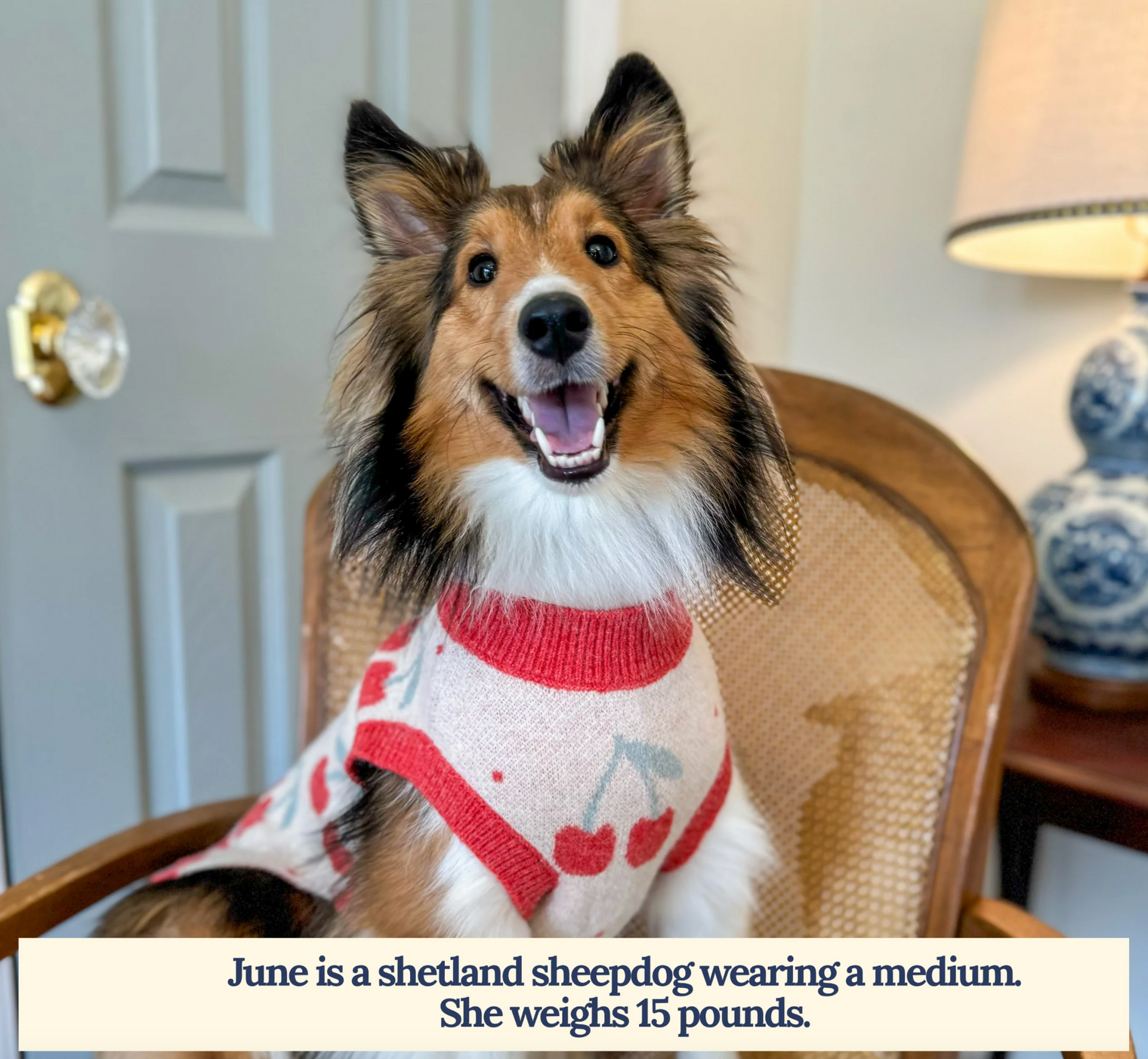 Cheery Cherries Sweater