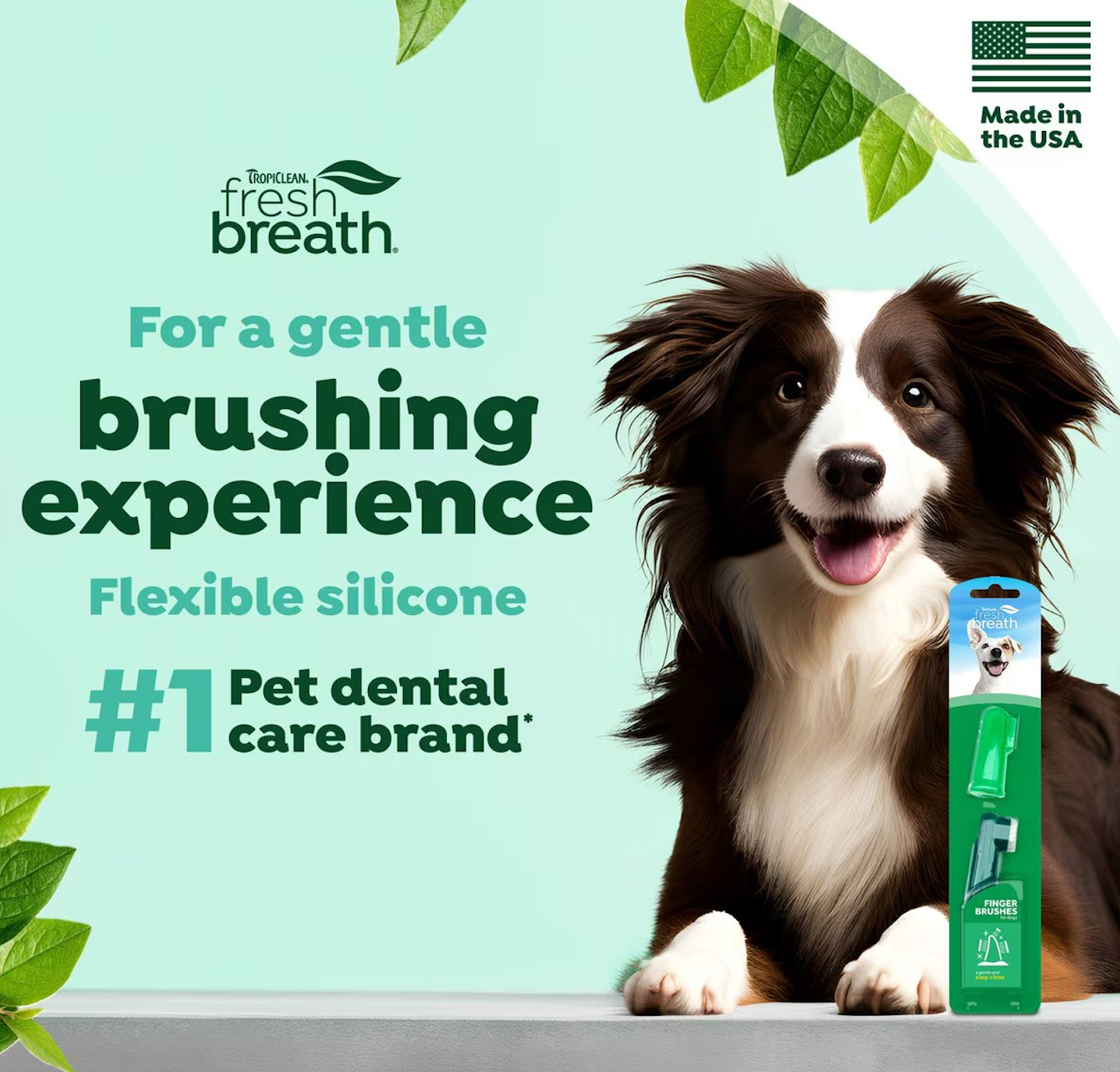 Tooth Finger Brushes