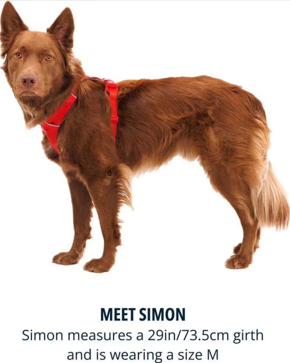 Front Range Harness - Red Canyon