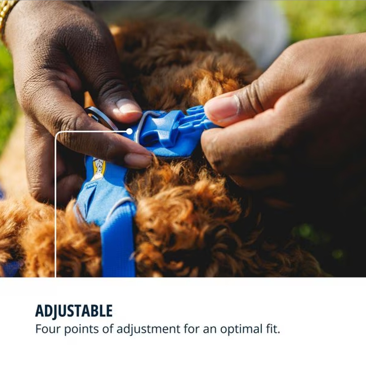 Front Range Harness - Blue Pool