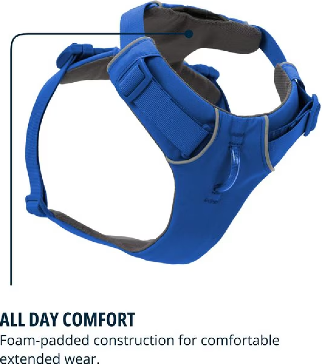 Front Range Harness - Blue Pool