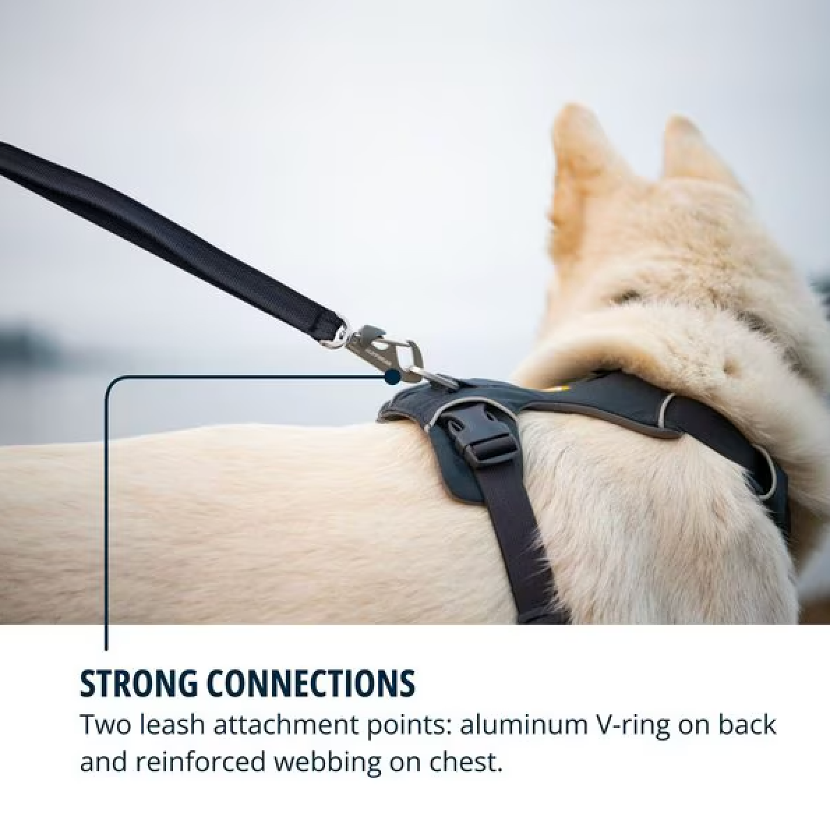 Front Range Harness - Basalt Gray