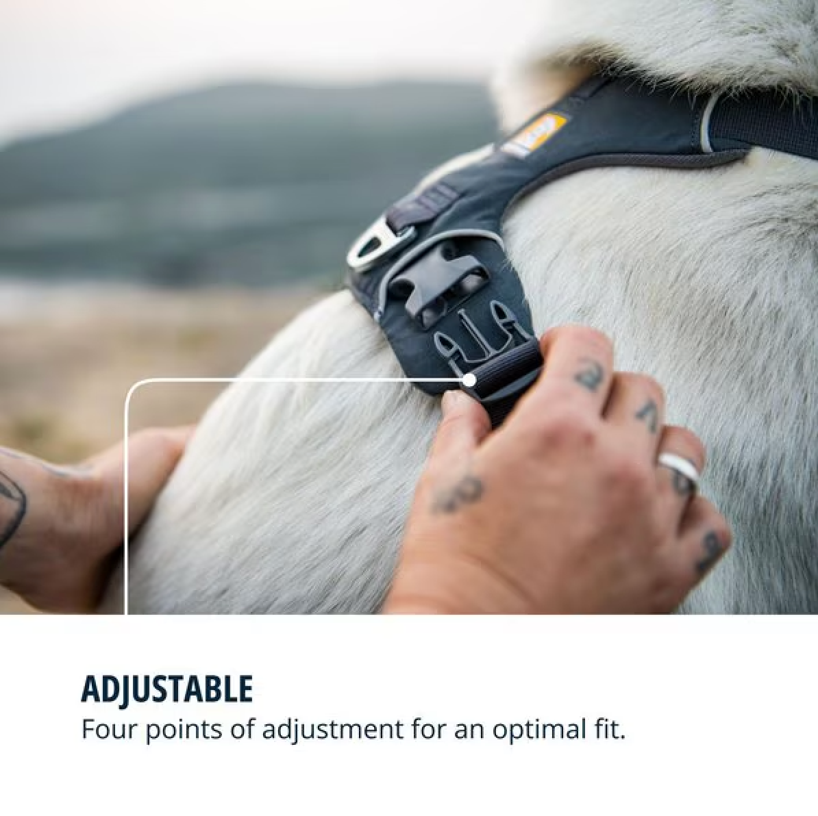 Front Range Harness - Basalt Gray