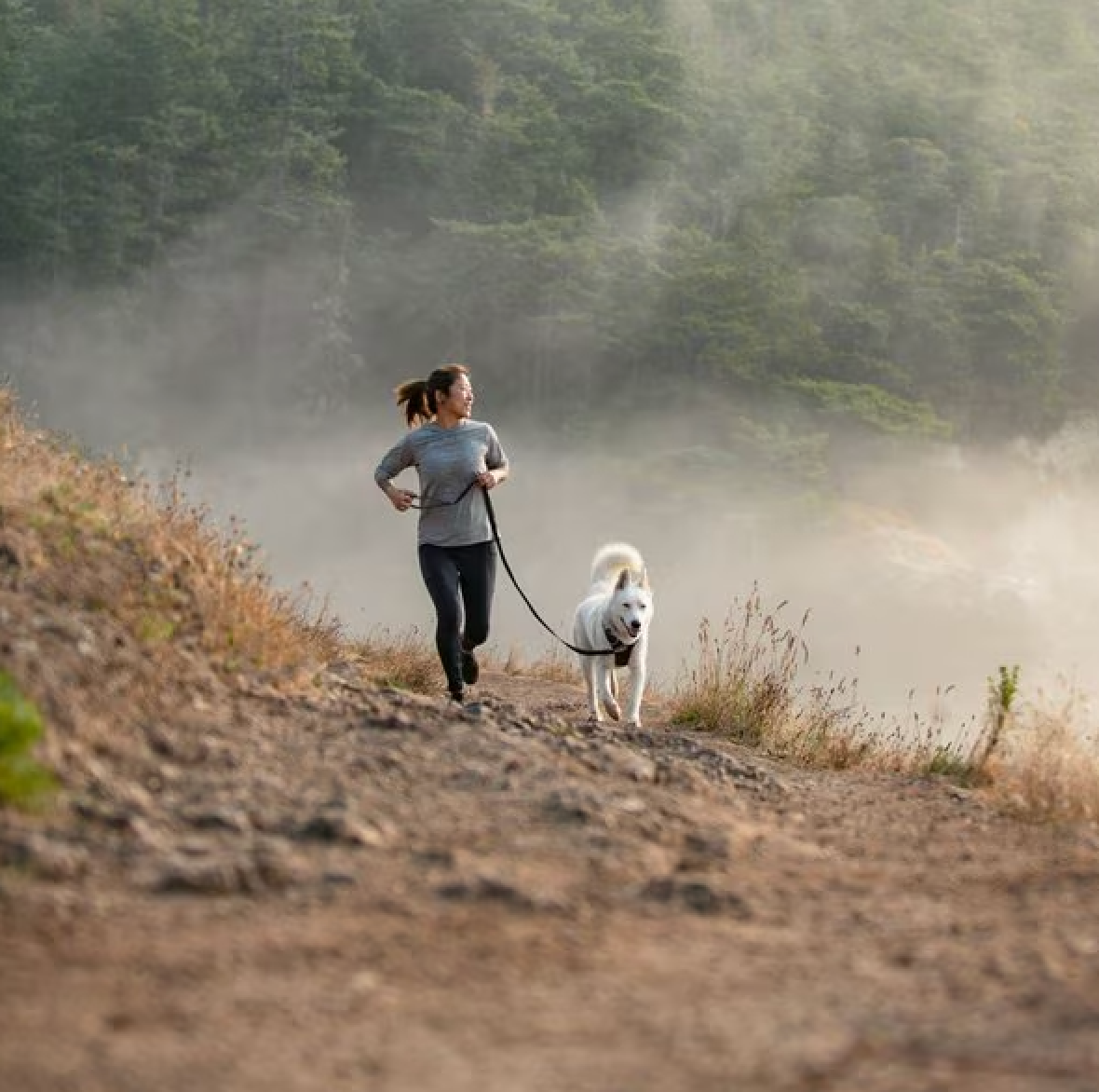 Front Range Harness - Basalt Gray