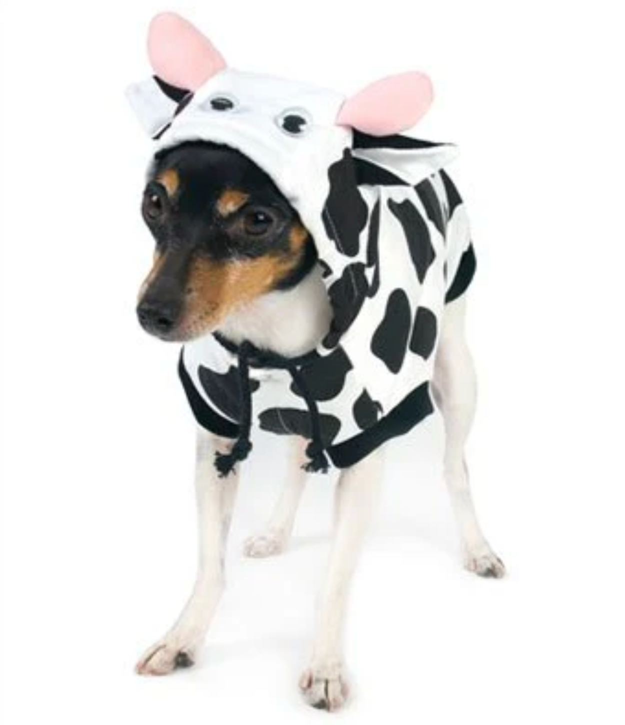 Cow Dog Costume