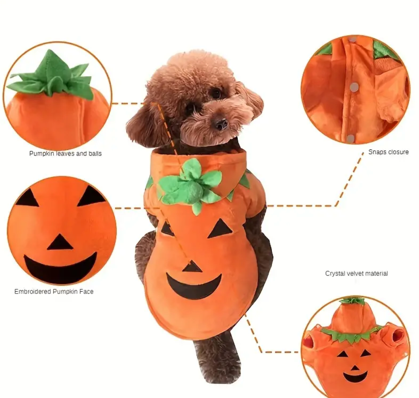 Pumpkin Dog Costume