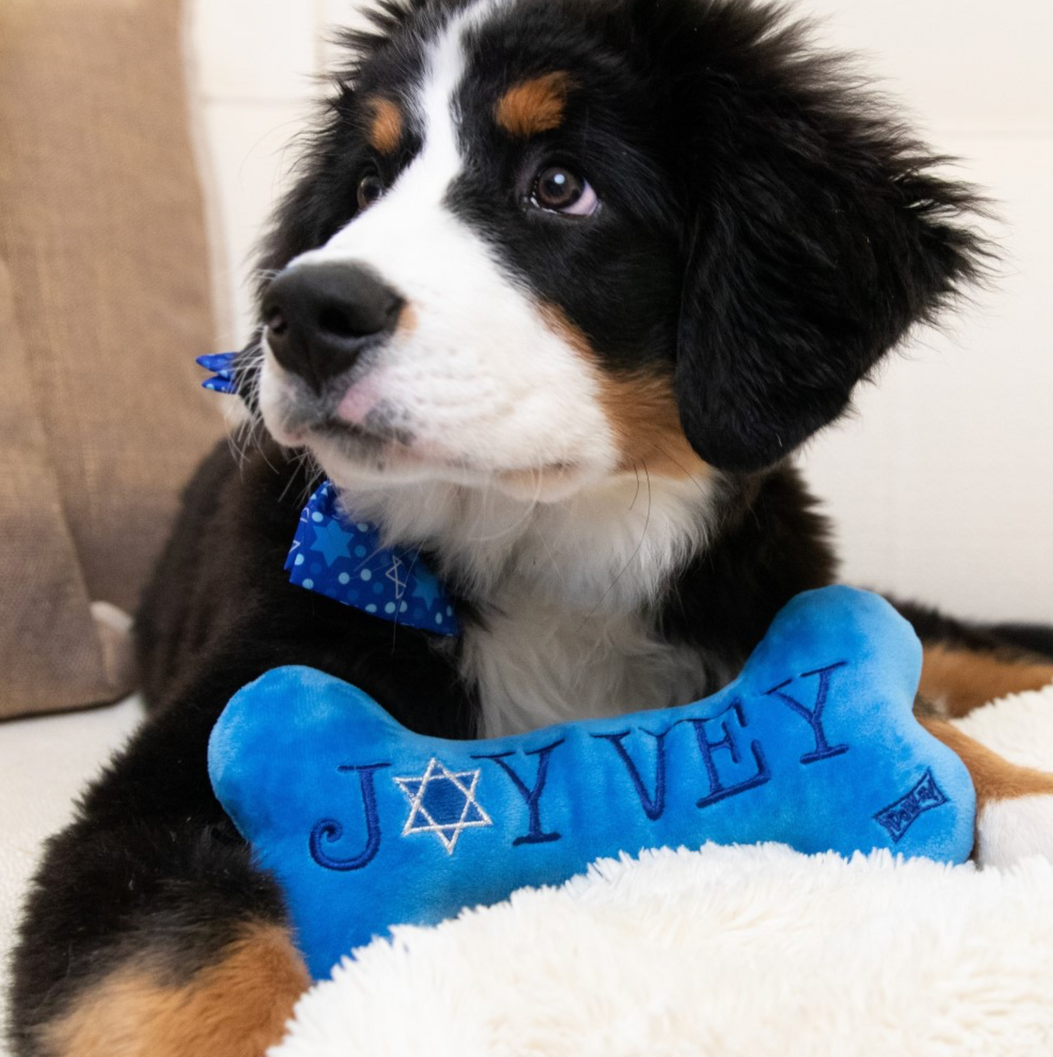 Joy / Vey Plush Bone