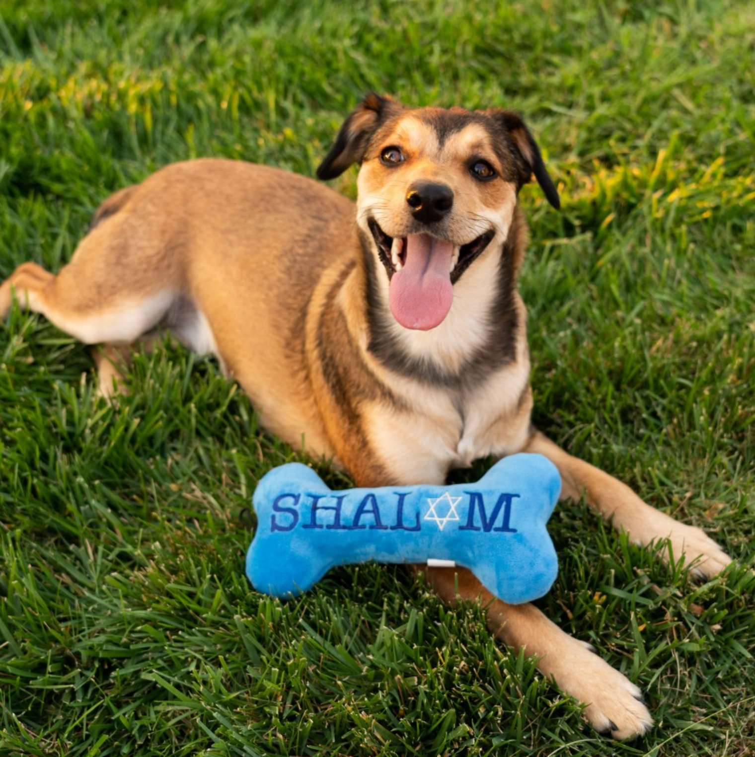 Joy / Vey Plush Bone