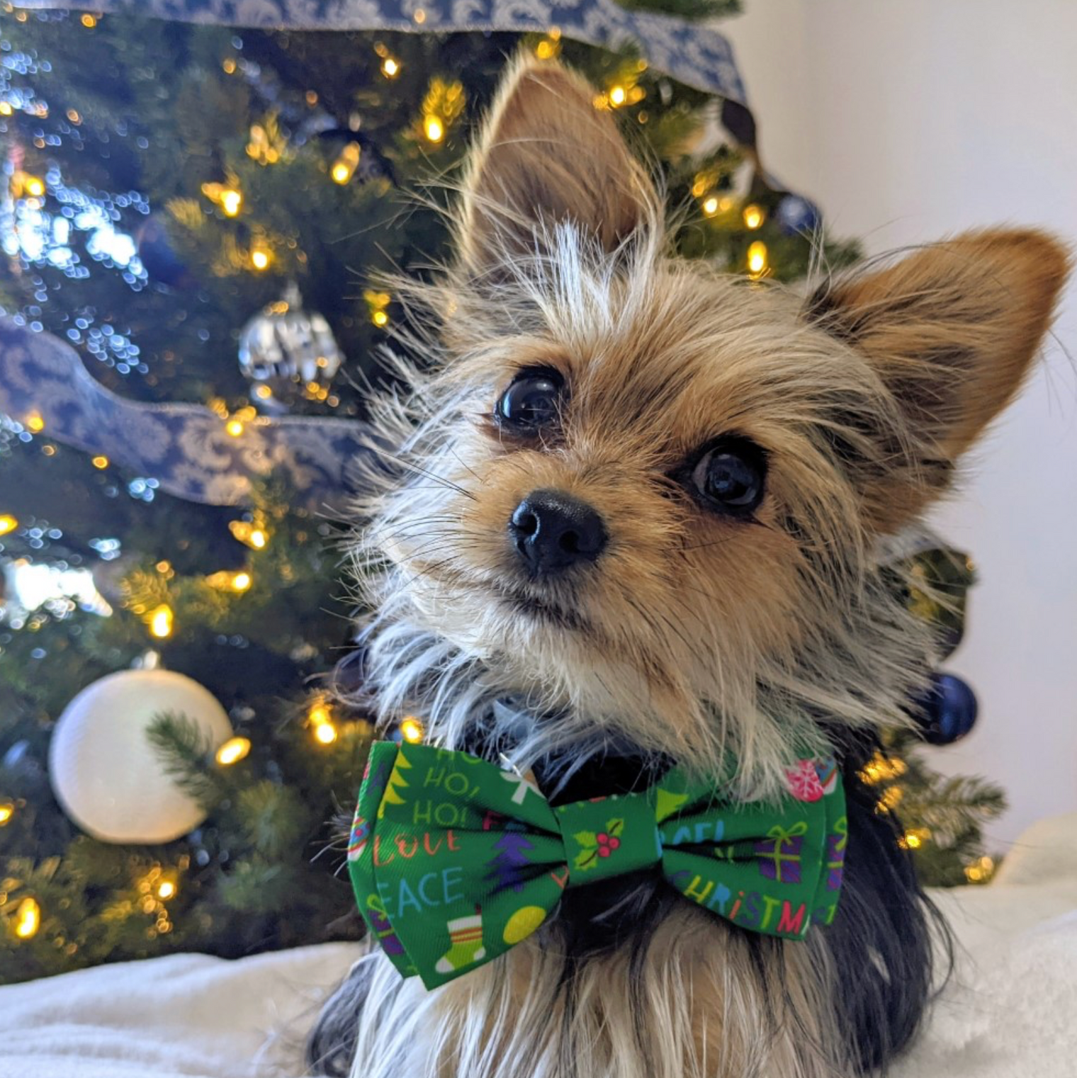Merry & Bright Bow Tie
