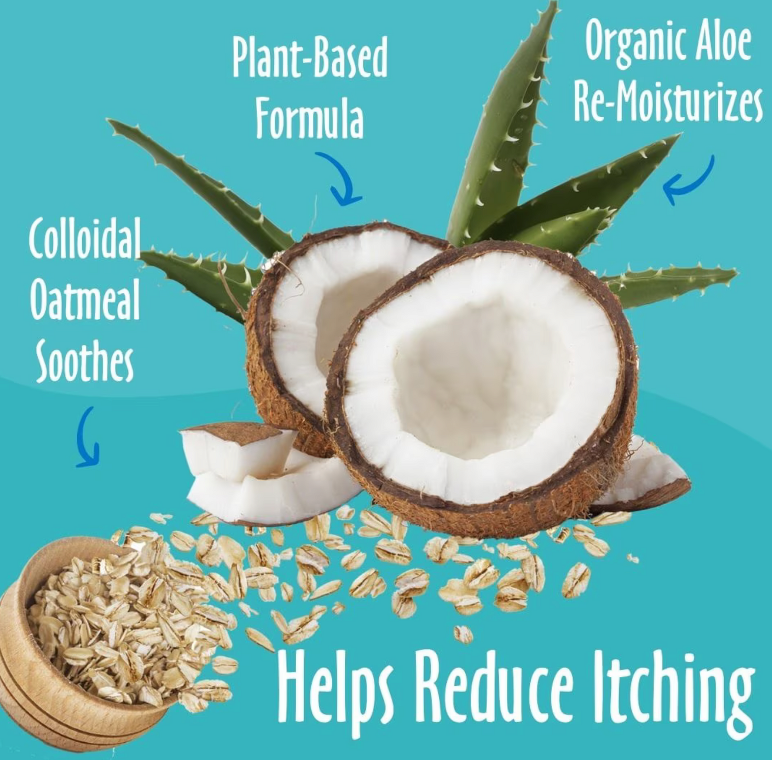 EarthBath Oatmeal & Aloe Conditioner 160z