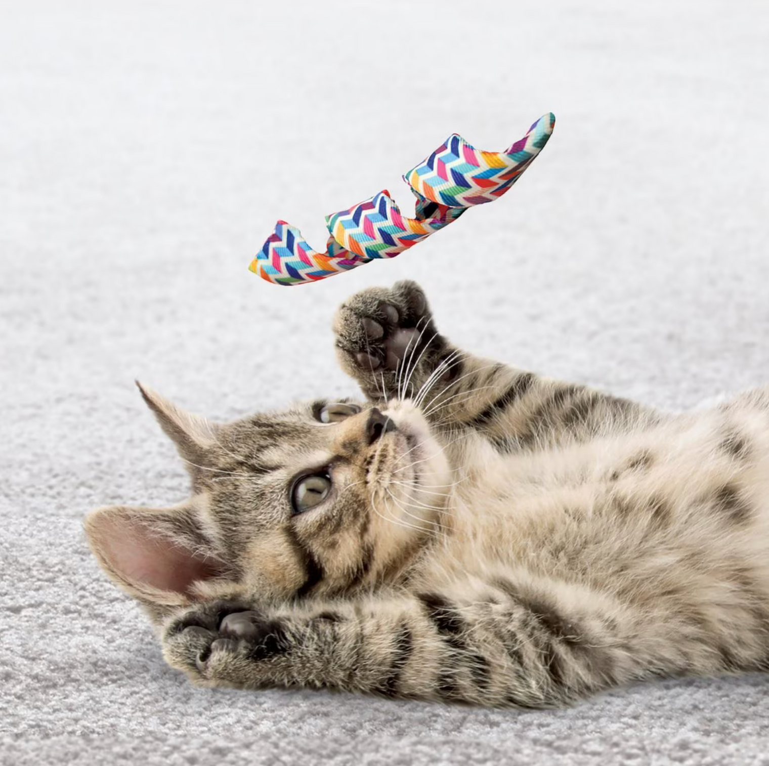 Kong Active Curlz 2pk