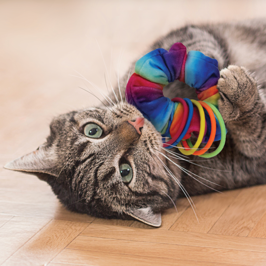 Kong Active Scunchie