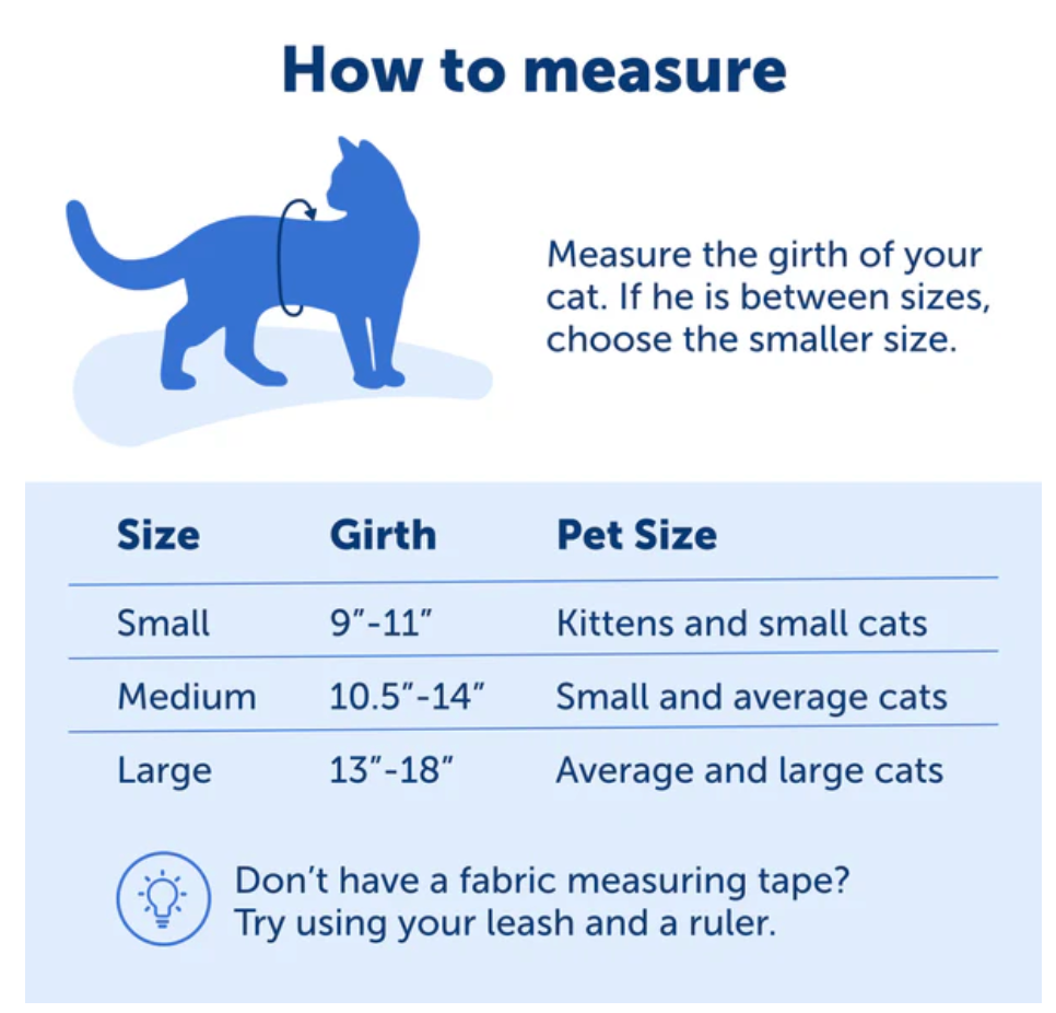 Black Cat Harness & Bungee Leash