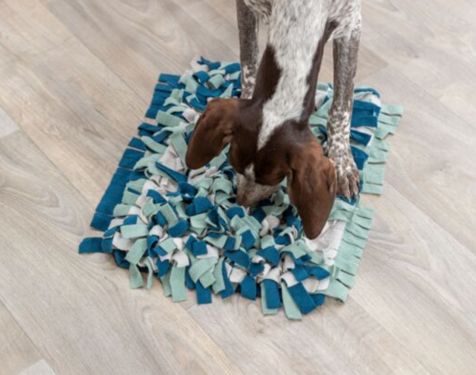 Strategy Game Snuffle Mat