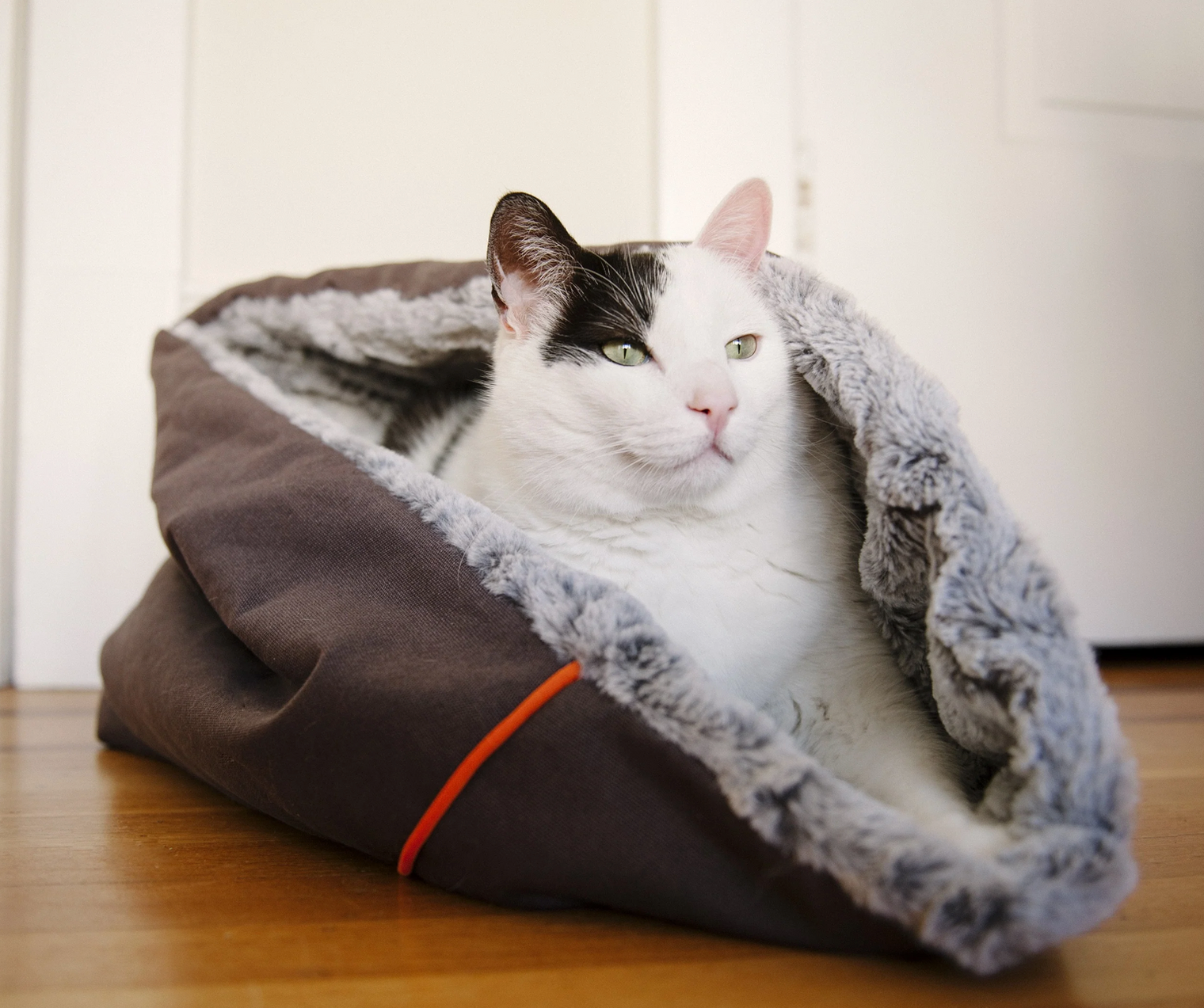 Snuggle Bed, Husky Grey