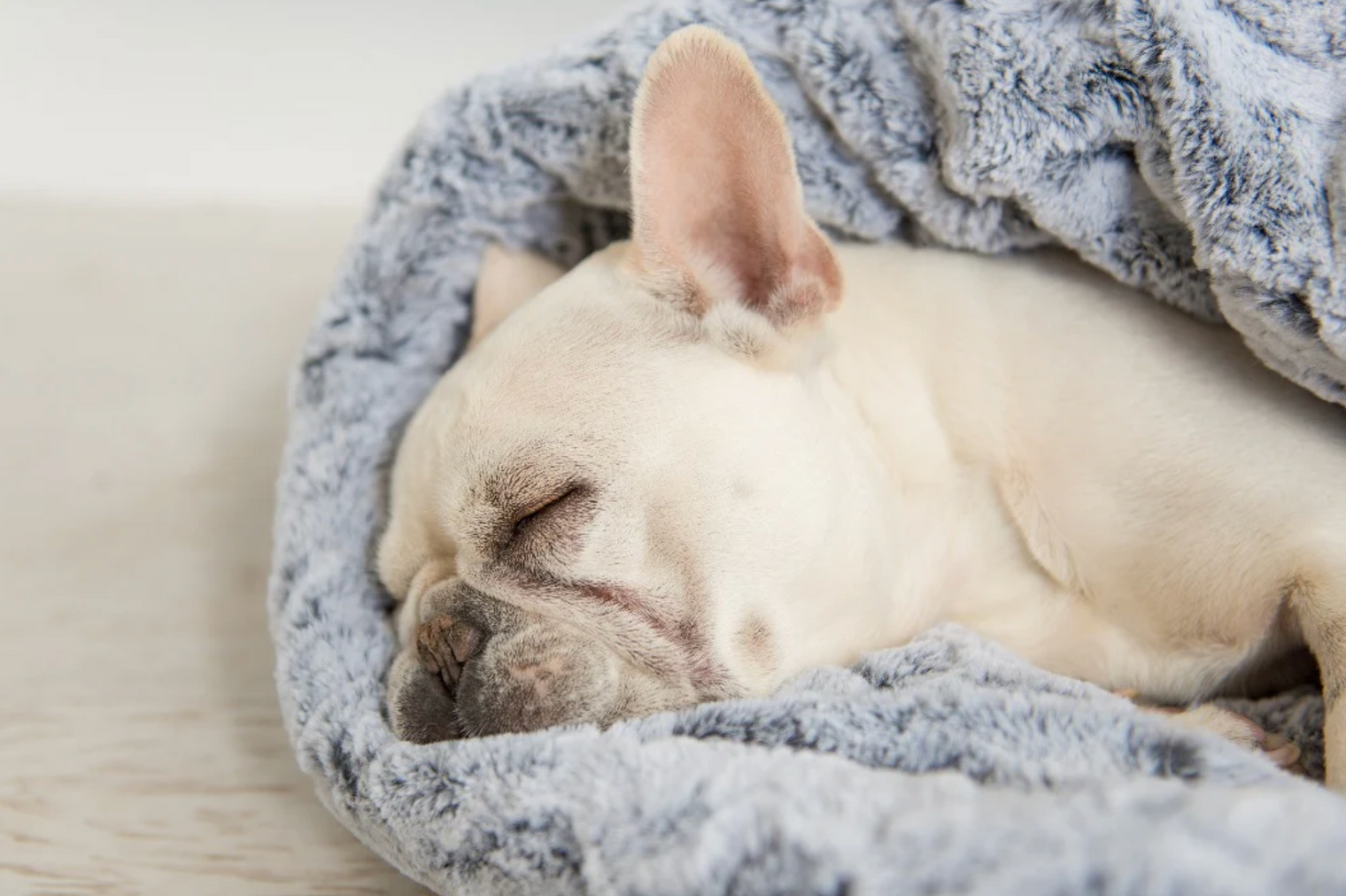 Snuggle Bed, Husky Grey