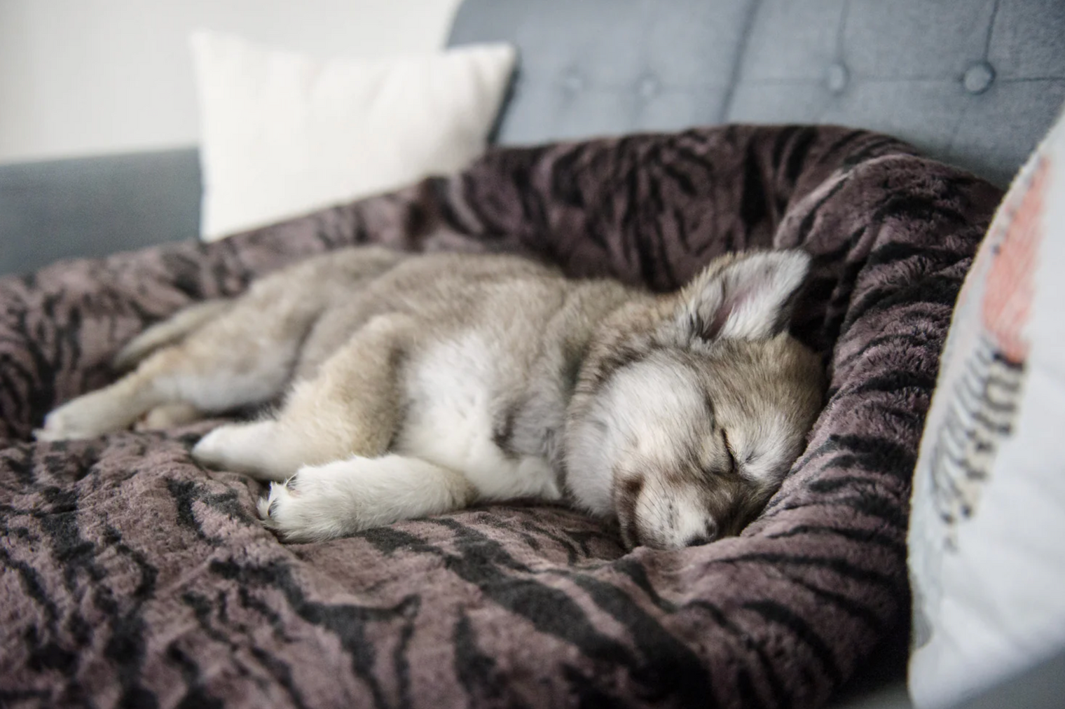 Snuggle Bed, Truffle Brown