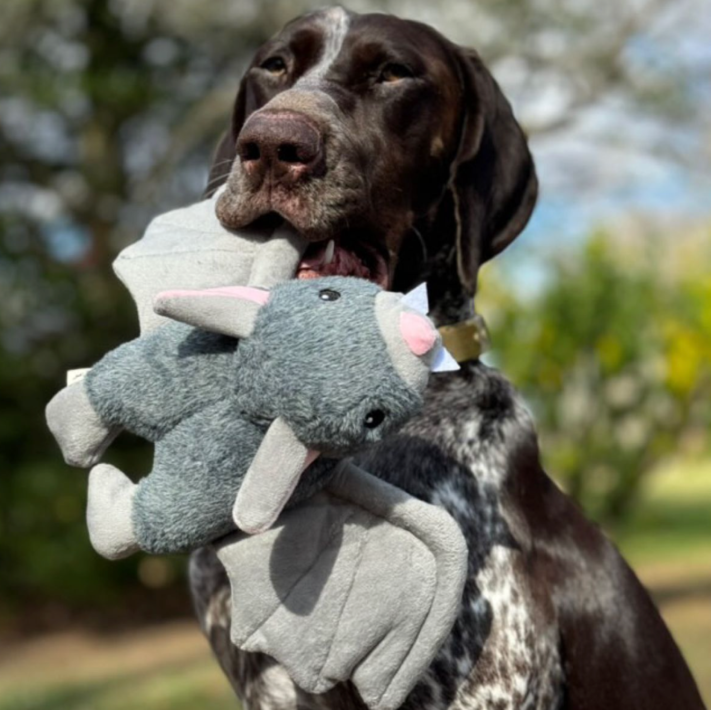 Flying Bat Plush Toy