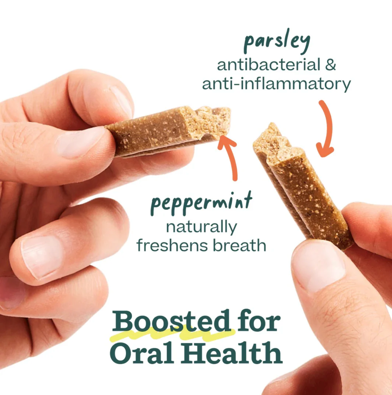 The Bite n' Brush, 2 sizes