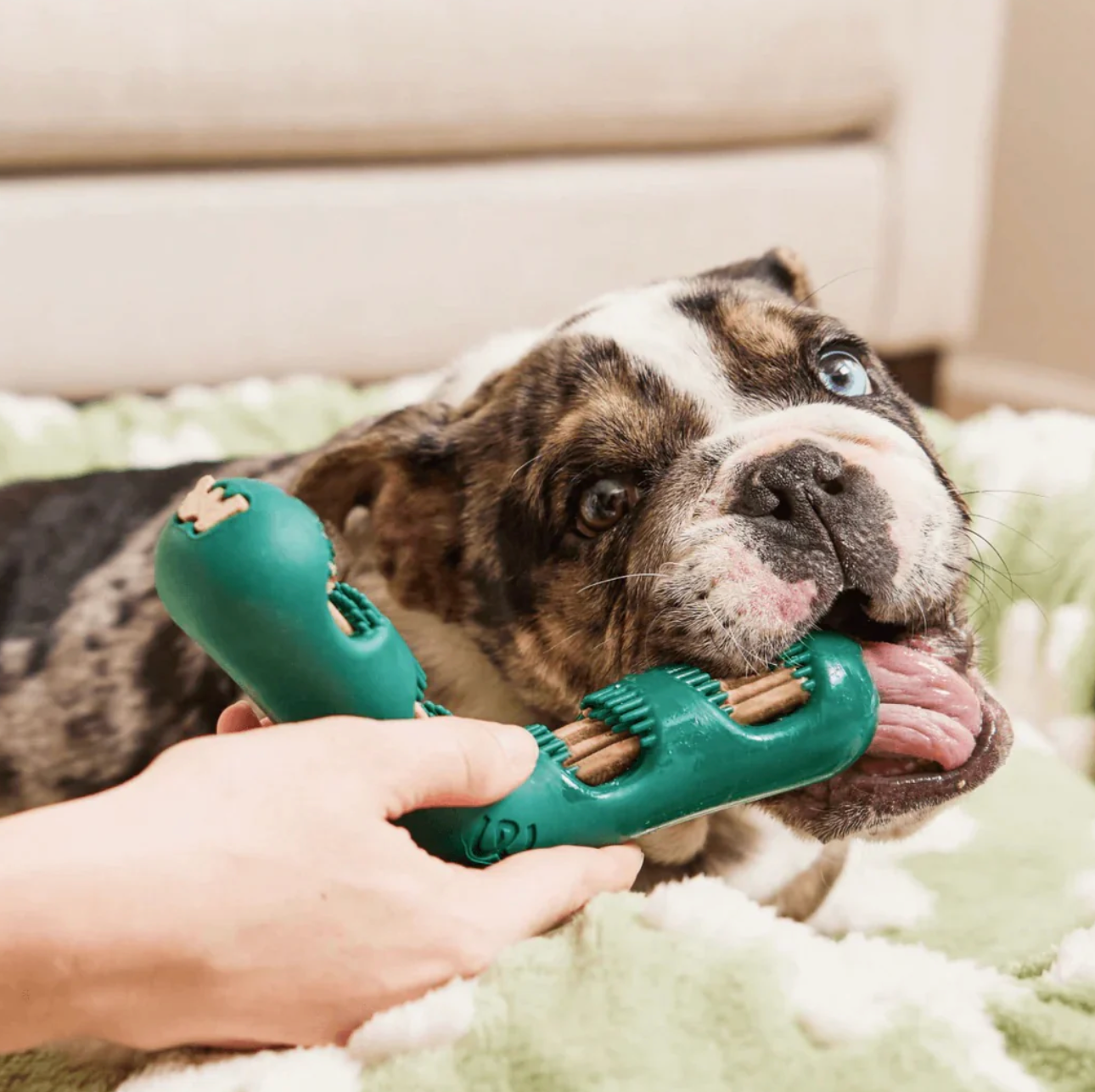 The Bite n' Brush, 2 sizes