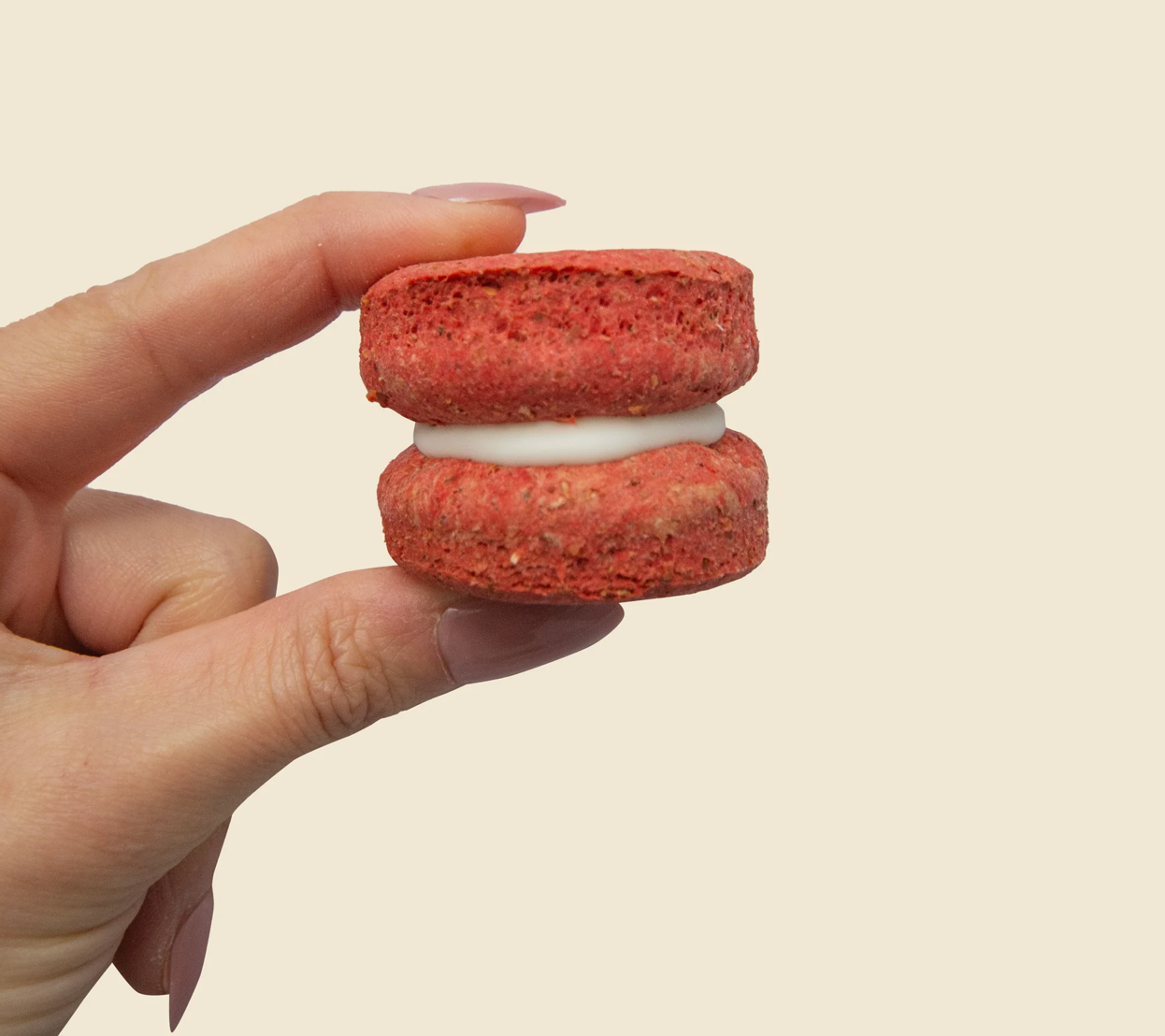 Macaroon Dog Cookie