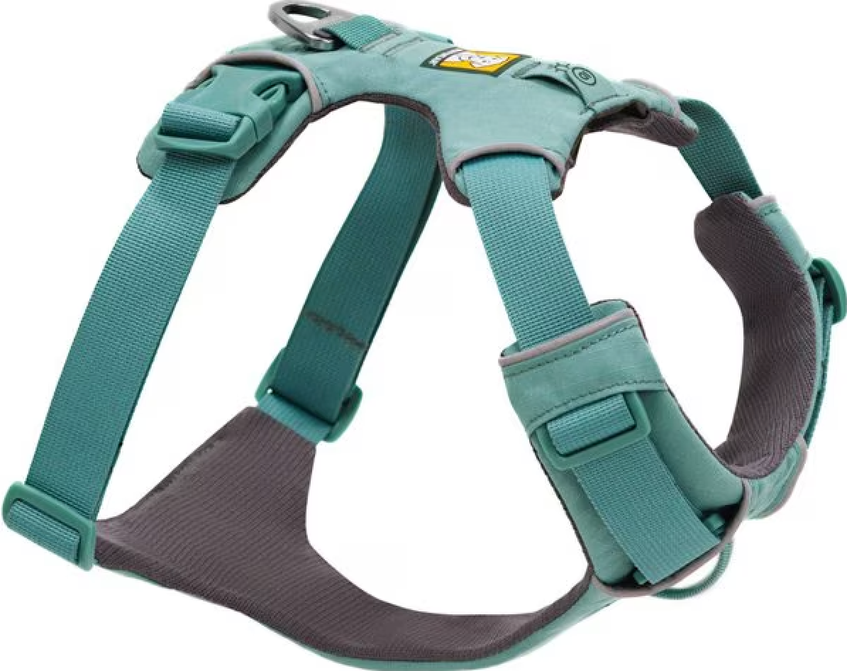 Front Range Harness - River Rock Green