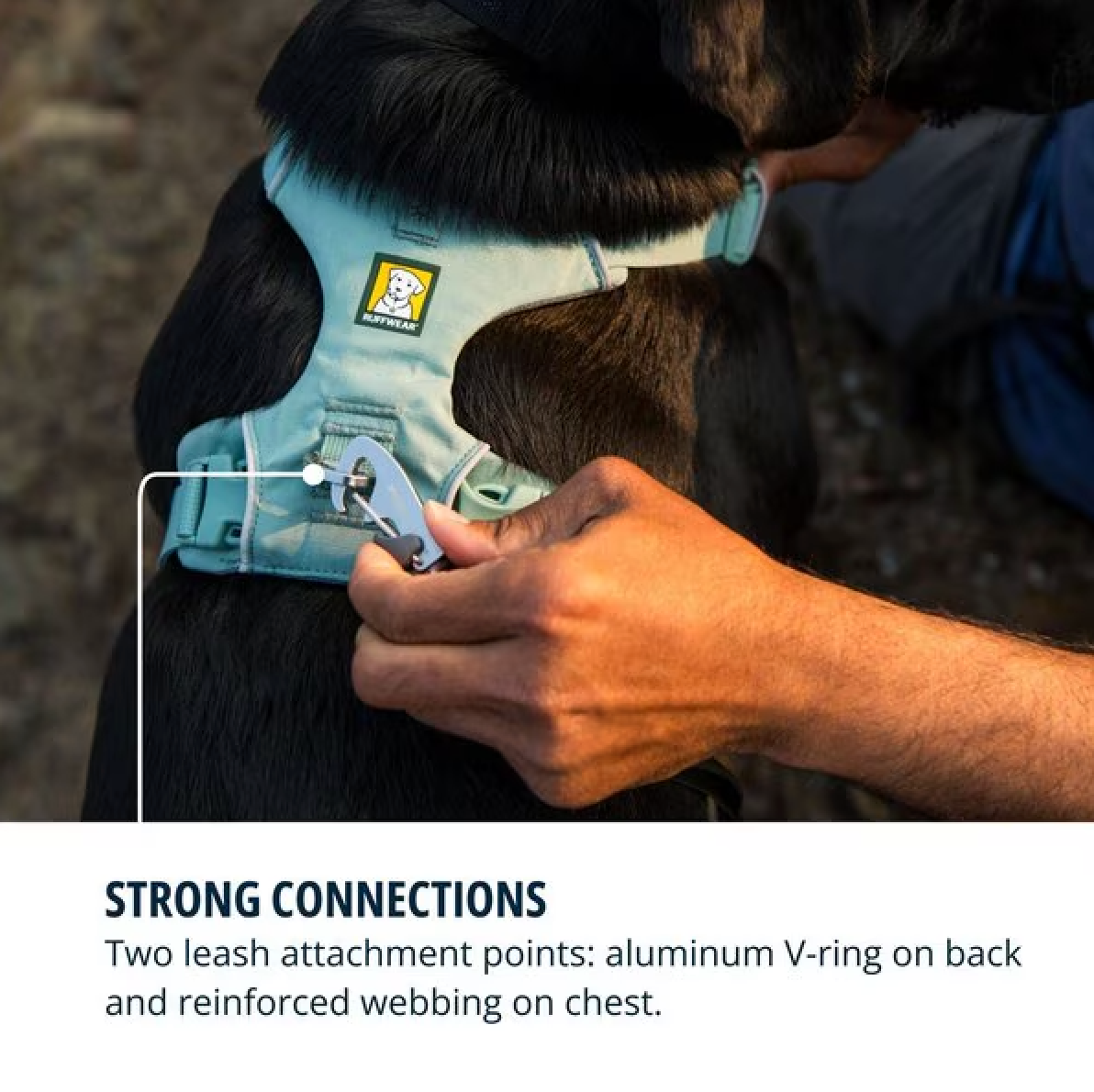 Front Range Harness - River Rock Green