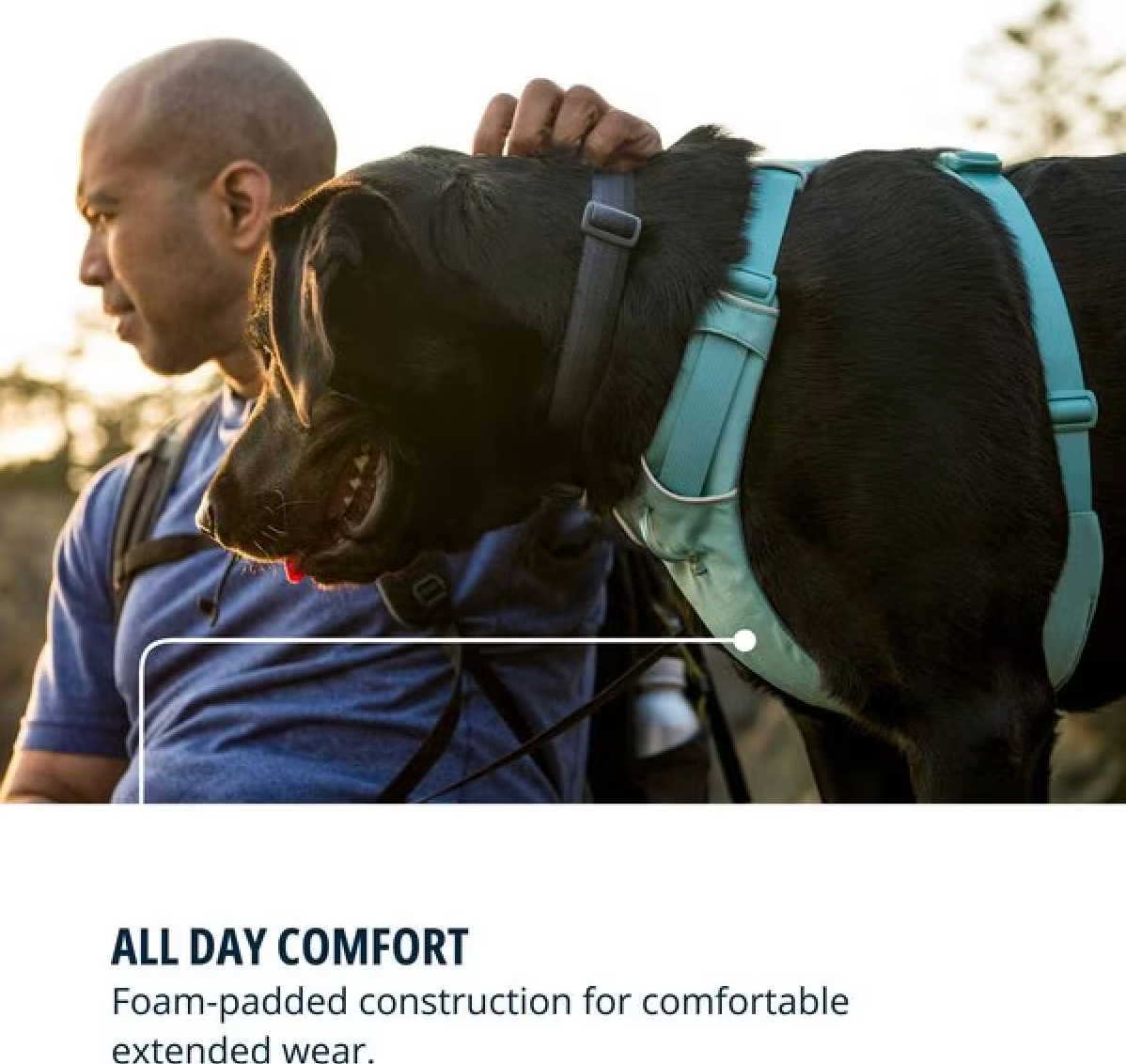 Front Range Harness - River Rock Green