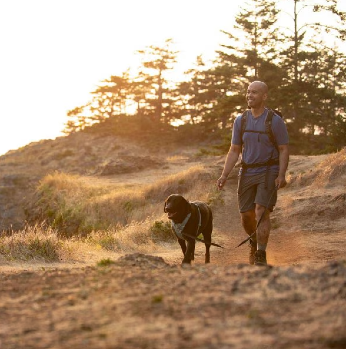 Front Range Harness - River Rock Green